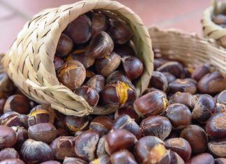 Điểm danh 6 món đặc sản hấp dẫn nên thử khi đi du lịch Cao Bằng Điểm danh 6 món đặc sản hấp dẫn nên thử khi đi du lịch Cao Bằng