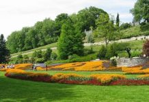 Chiêm ngưỡng vẻ đẹp của đảo hoa Mainau ở miền Nam nước Đức Chiêm ngưỡng vẻ đẹp của đảo hoa Mainau ở miền Nam nước Đức