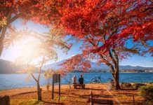 Vẻ đẹp thơ mộng đầy lãng mạn của hồ Kawaguchi nổi tiếng Nhật Bản